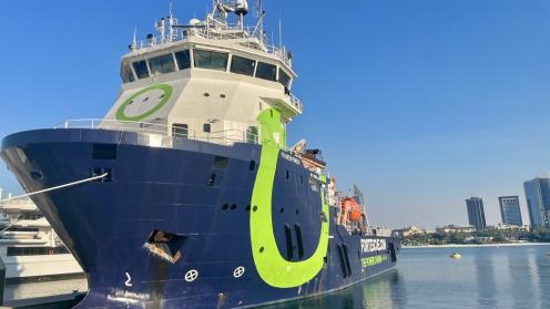 Green pioneer picture